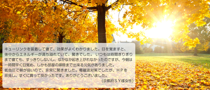 愛用者の声が入ります。