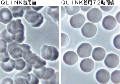 Human Cellular Studies